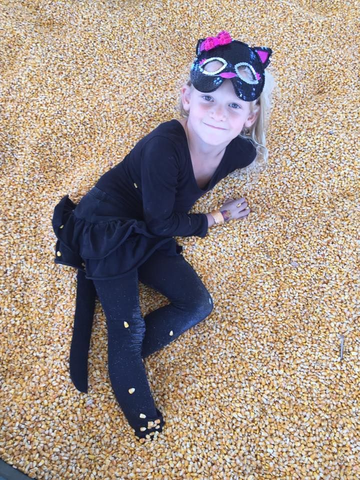 Picking Pumpkins 2015